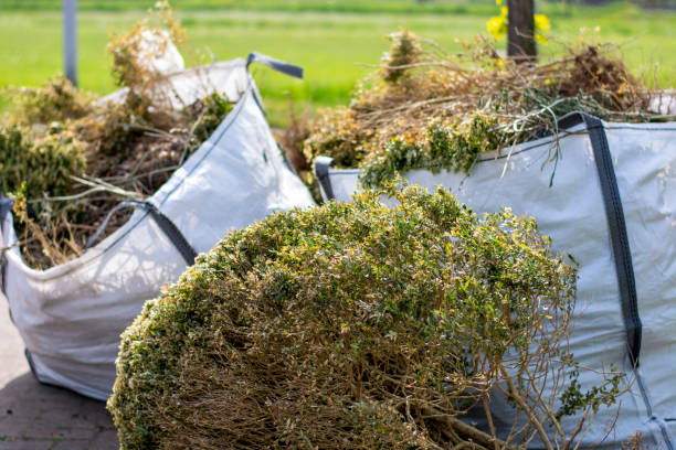 Best Electronics and E-Waste Disposal  in Ruidoso Downs, NM